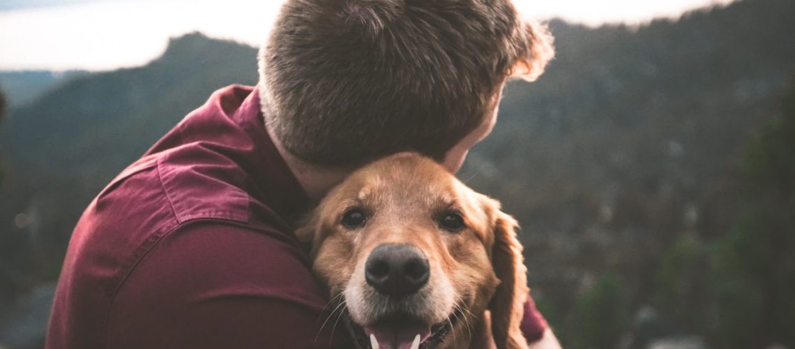 Calming Dog